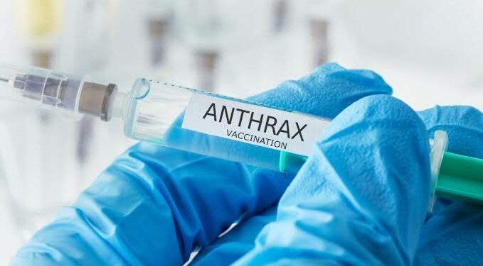 Nigeria Confirms First Case Of Anthrax