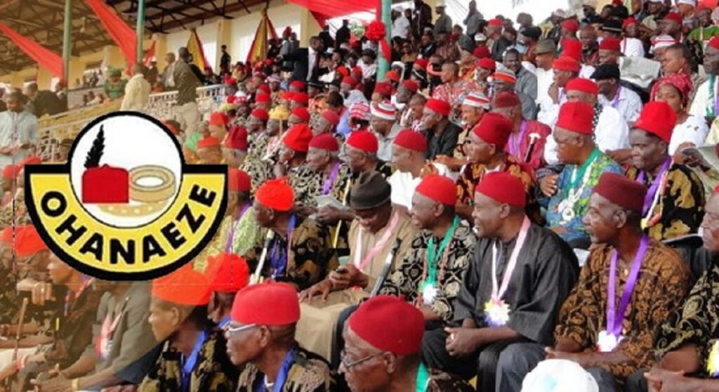 Ohanaeze Hails INEC, Security Agencies On Elections