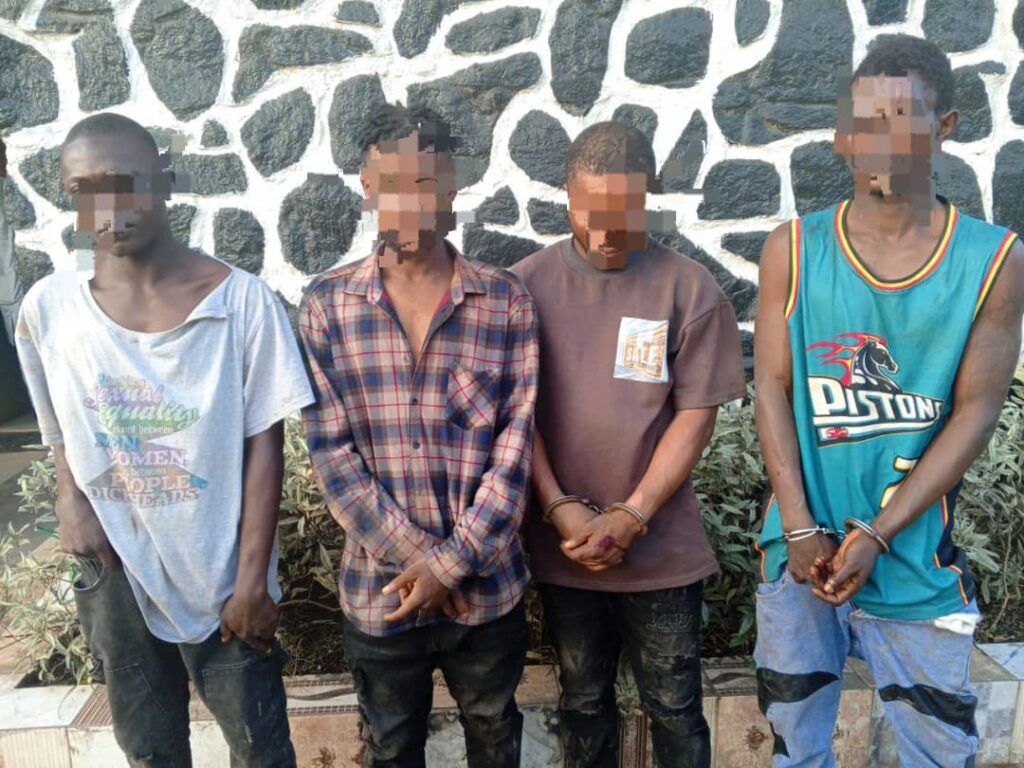 Ogun Police Apprehend Suspected Cultist In Ogun State
