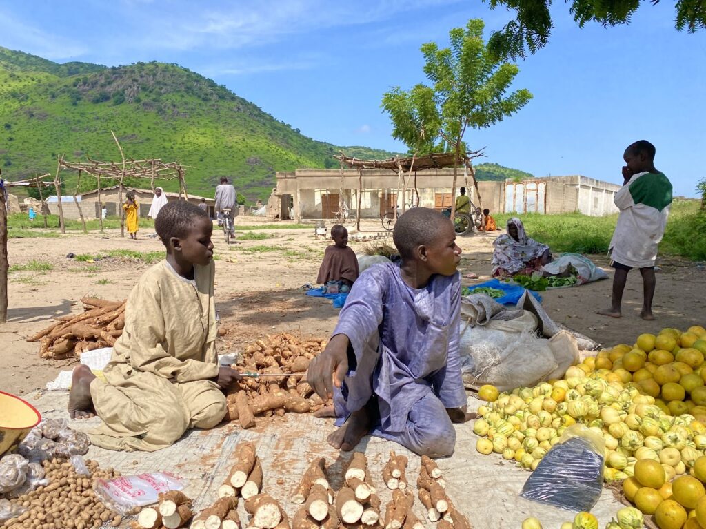 Borno Gov Condemn Boko Haram, ISWAP, Attacks