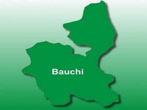 Bauchi TSC Demotes School Principal, Senior Master for Illegal Sale of Property