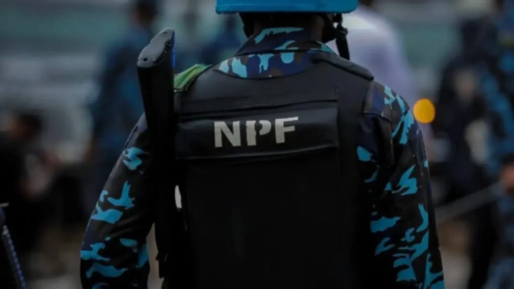Anambra police recover abandoned firearms