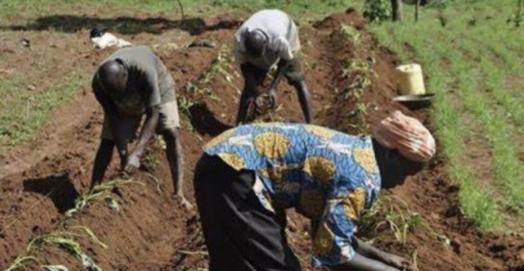 Benue FACAN Pledge to Reposition Commodity Associations