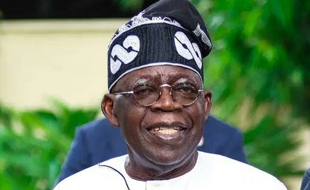 Power-hungry politicians seeking to remove Tinubu — Presidency