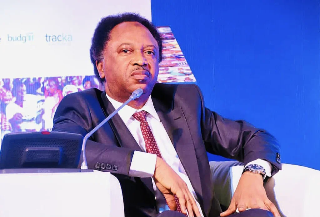If Tinubu fails, another president can’t succeed – Shehu Sani