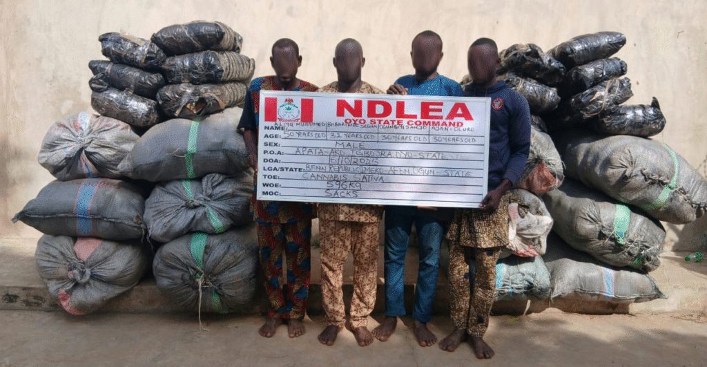 NDLEA seizes drugs hidden in frozen snails, electrical bulbs