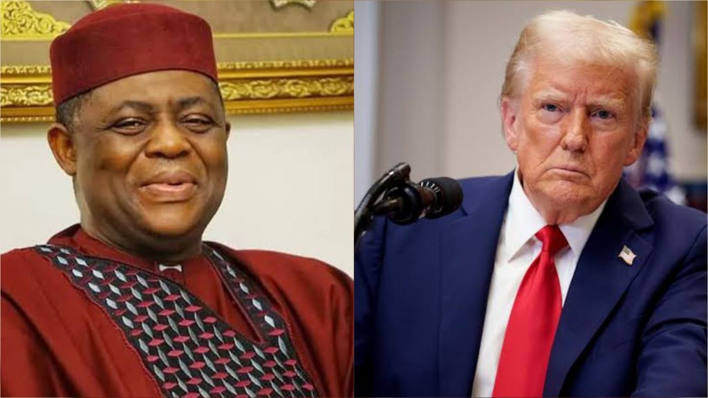 We'll Defend Our Country Against Any External Aggression, Fani-Kayode Tells Trump