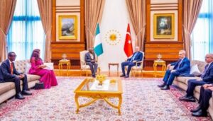Presidency dismisses Tinubu’s stumble in Ankara as minor incident