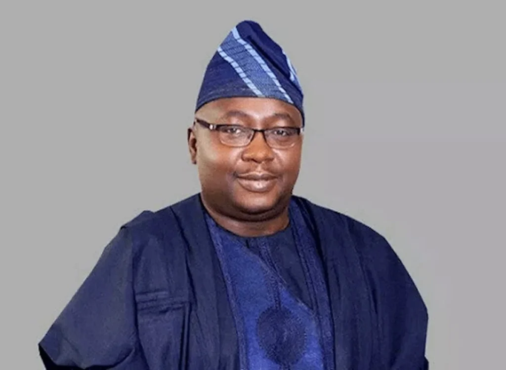  Power Sector Reforms Attract $2bn Investments - Adelabu