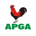 APGA Aspirant, LGA Chair Clash Over Idemili Gunshot Incident