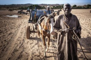 Dozens Die as Farmers, Herders Clash in Eastern Chad