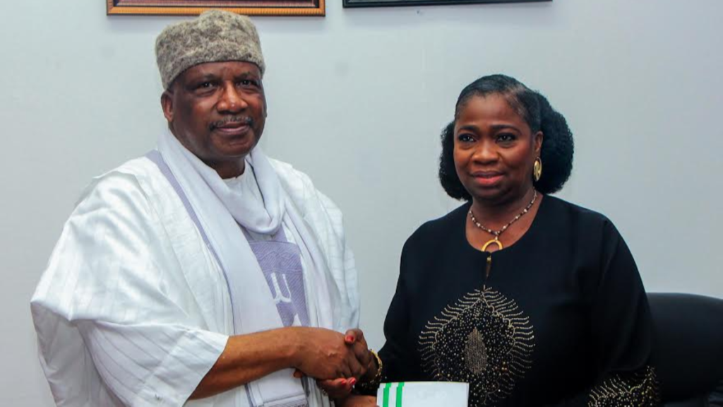 Dambazau says non-state actors in Sahel possess 14m firearms