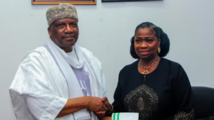 Dambazau says non-state actors in Sahel possess 14m firearms
