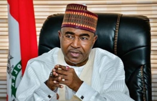 Marwa urges Nigerians to counter toxic pop culture glamorising drug abuse