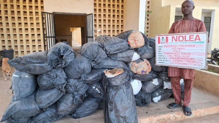 NDLEA Intercepts Cocaine Shipments Bound for UK, Australia