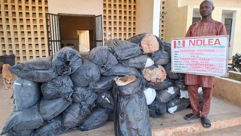 NDLEA Intercepts Cocaine Shipments Bound for UK, Australia