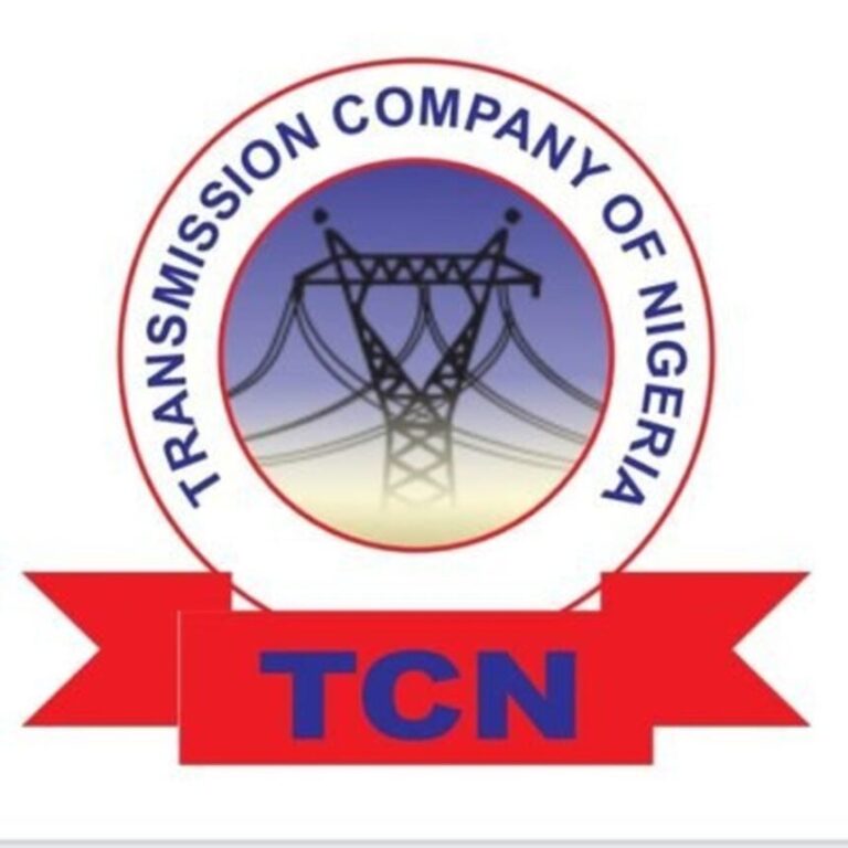 TCN Arrests Suspects on Nkalagu–Abakiliki Line as Vandalism Cases Hit 276