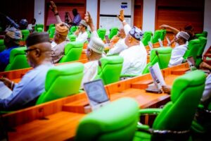 Reps pass state police bill as constitution amendment gains momentum