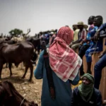Seven dead, 50 huts burnt in Bauchi State over farmer-herder violence