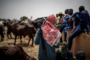 Seven dead, 50 huts burnt in Bauchi State over farmer-herder violence