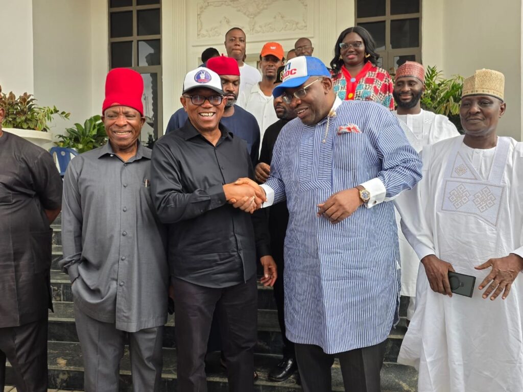 Remain In NDC, Dickson Urges Obi, Kwankwaso, Others