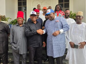 Remain In NDC, Dickson Urges Obi, Kwankwaso, Others