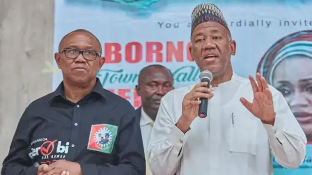 ‘I’m independent, Peter Obi doesn’t own me’ — Datti Baba-Ahmed