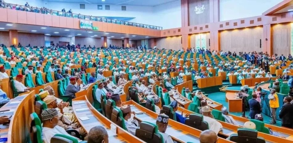 Reps seek tough sanctions against S’Africa as 282 Nigerians return