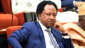 2027: Don’t take politicians’ promises at face value, Shehu Sani warns Nigerians