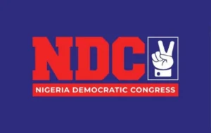 NDC Accuses INEC Of Replacing Candidates With ‘Unknown Names’