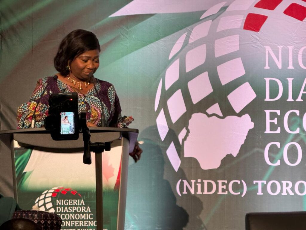Shift from remittances to investment, FG urges Nigerians in diaspora