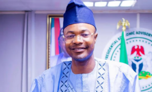 Fake agency: Reps uncover 58 accounts, probe N400m deal
