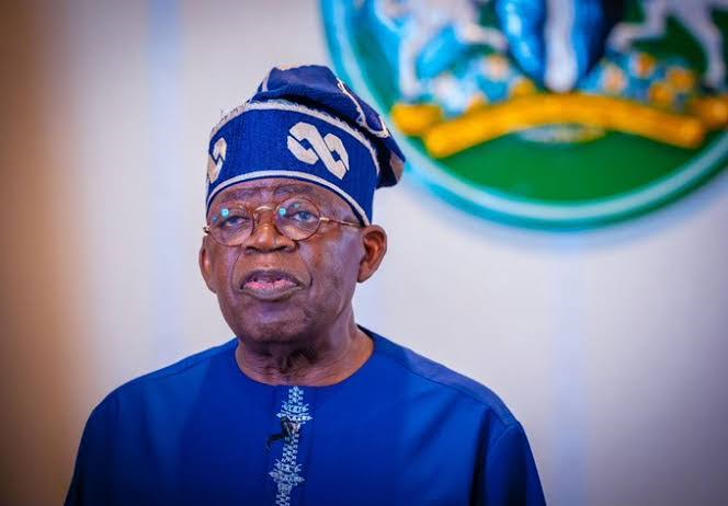 I promised Nigerians credit-based economy - Tinubu