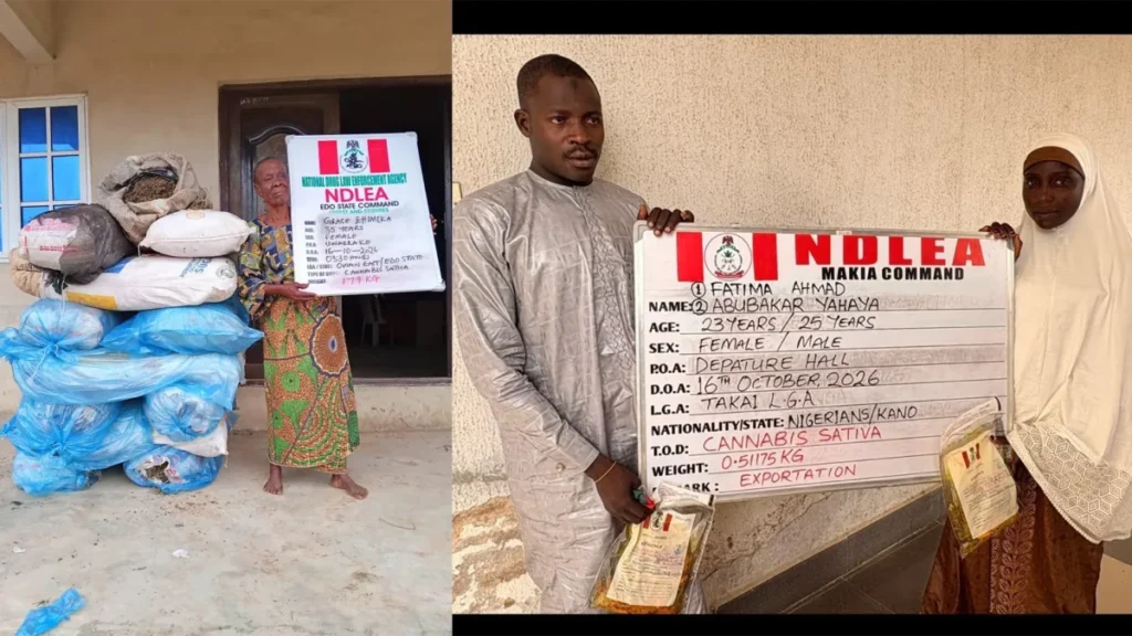 NDLEA Arrests Woman over Cannabis Hidden in Palm Oil, Seizes Tramadol Worth ₦6.98 Billion