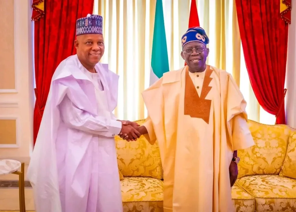 Shettima: Without Tinubu, the economy would have collapsed