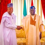 Shettima: Without Tinubu, the economy would have collapsed